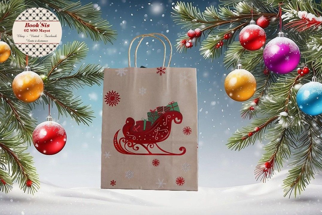Sacs cadeaux Noël 27x21x11 cm
