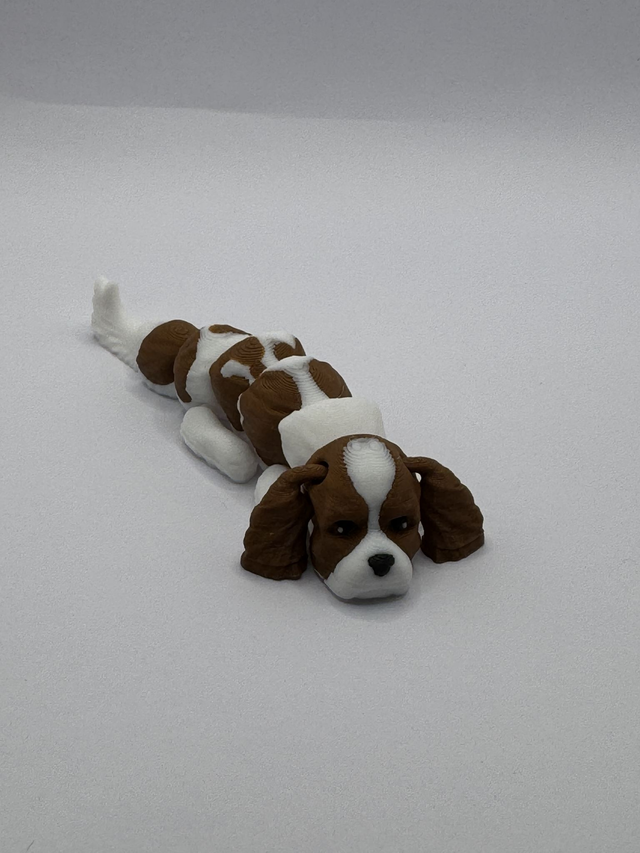 Dogs