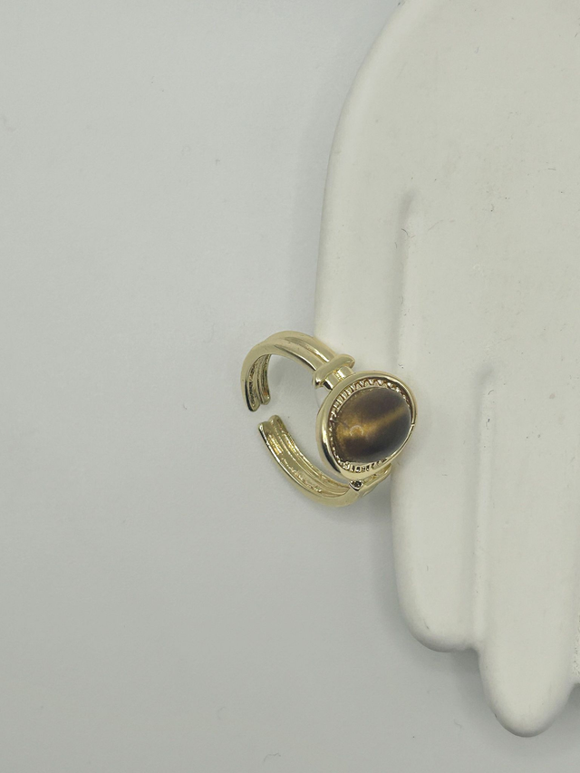 Stainless Steel Ring (SSR100J)