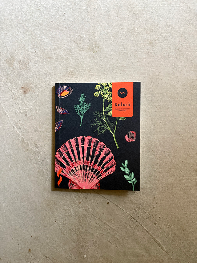 Carnet - notebook / Coquille Saint-Jacques - Scallops