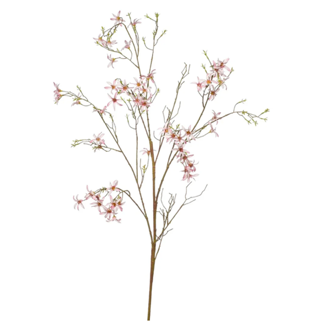 Forsythia Tak Roze 150cm