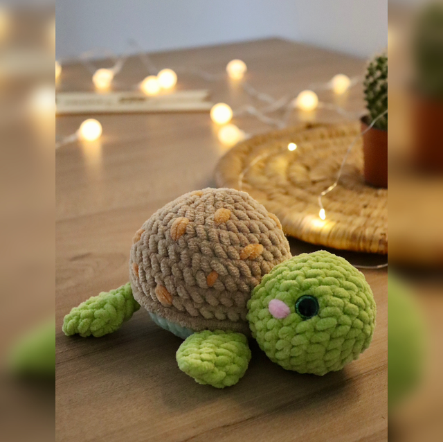 Tortue