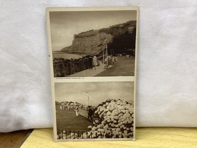 Shanklin Head, Shanklin and Hydrangeas, Keats Green, Shanklin Isle of Wight W.J. Nigh vintage postcard. Our Ref No R611 £2.50
