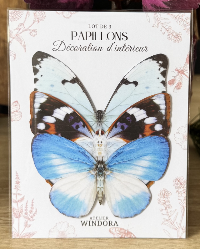 Lot de 3 Papillons Bleu | Décoratifs