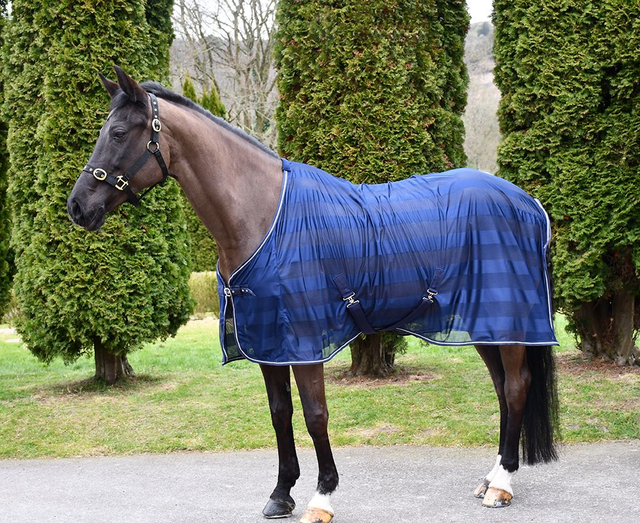 Rhinegold Sweat Sheet