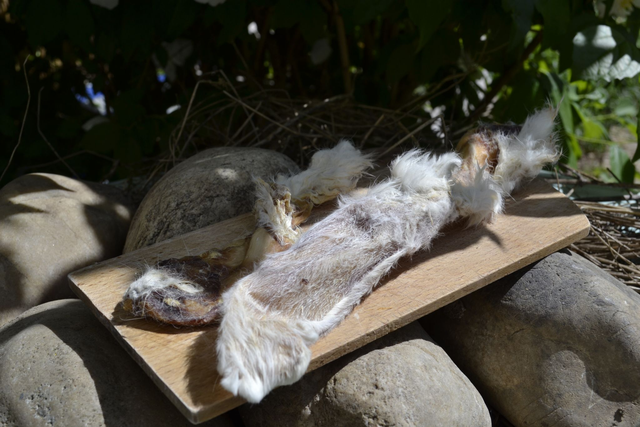 Oreilles de Lapins Avec Poils