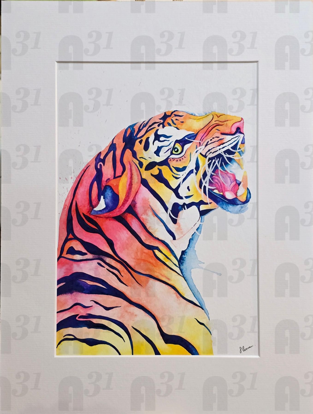 447. Amber the tigeress Limited edition print 