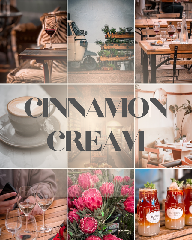 CAPE TOWN COLLECTION "CINNAMON CREAM" - 1 Preset (9 Styles) – Mein Look für deine Fotos