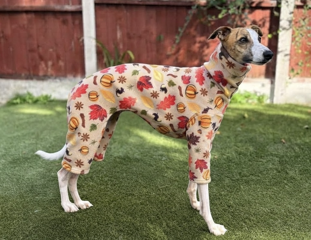 Sighthound Fit Fleece Onesie 