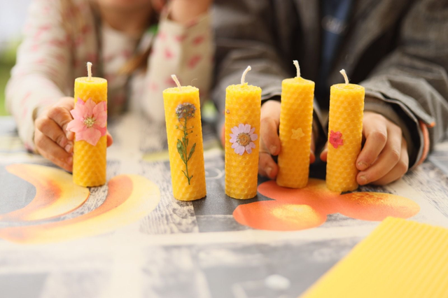 Atelier Découverte du monde de l’abeille (enfants)