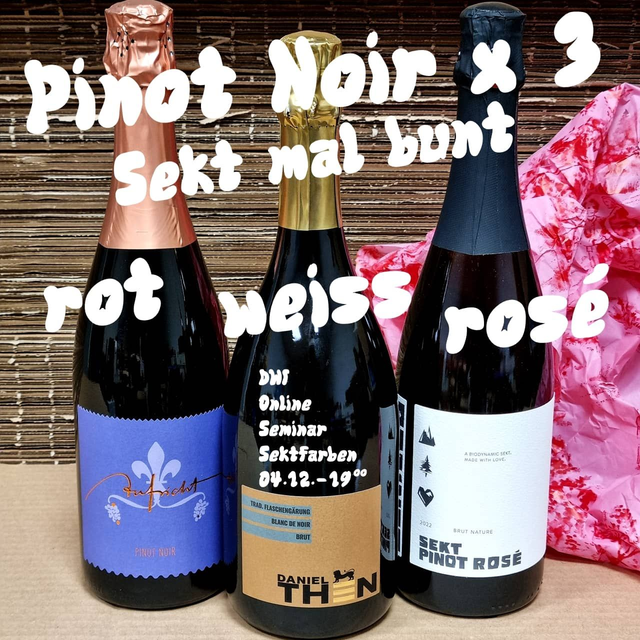Spätburgunder Sektfarben DWI-Weinpaket 4.12.25 19°° Uhr - Pinot Noir x 3