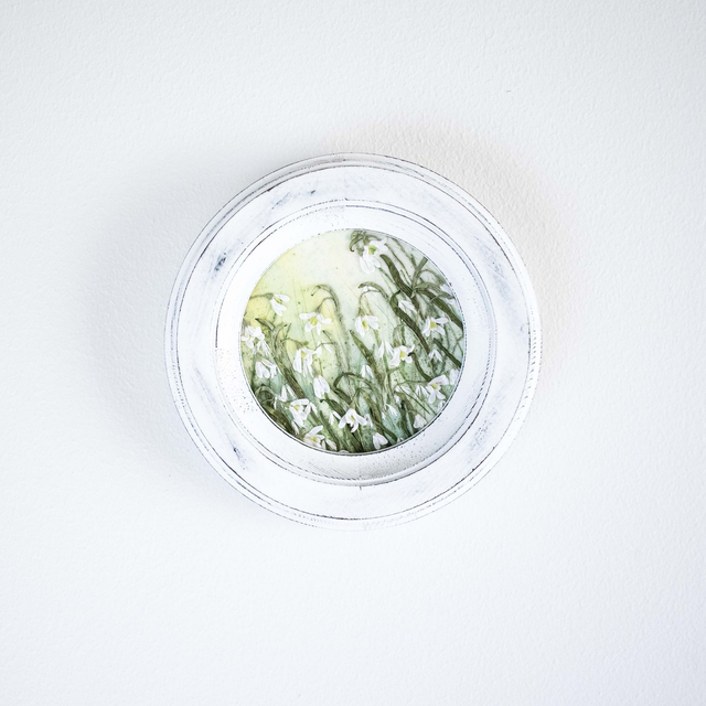 SNOWDROP | Botanical Study