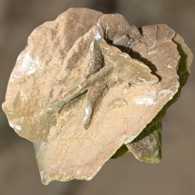 Rose des sables 439 gr