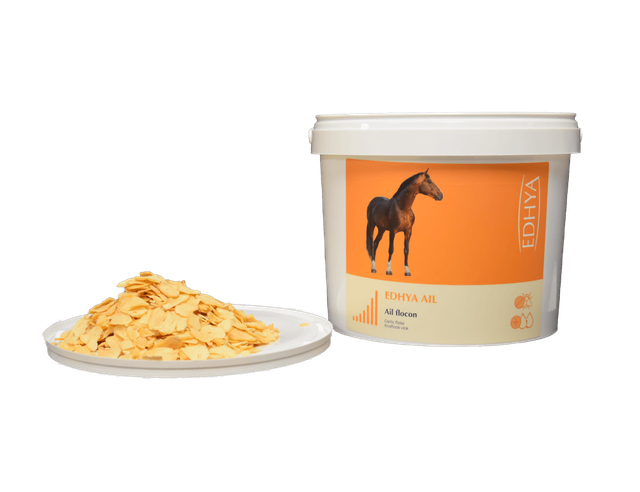 Edhya AIL FLOCON 2 kg