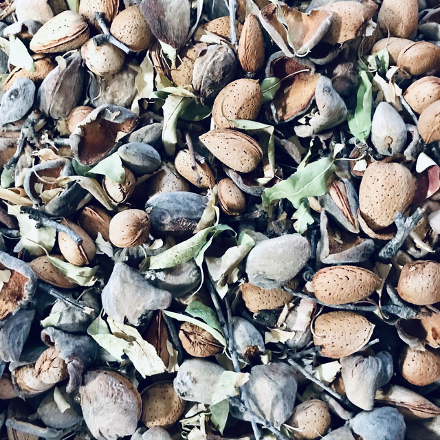 Amande coque certifiée BIO 1kg