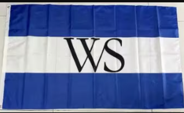 Grote vlag Weesp (150x90cm) Nieuw. 