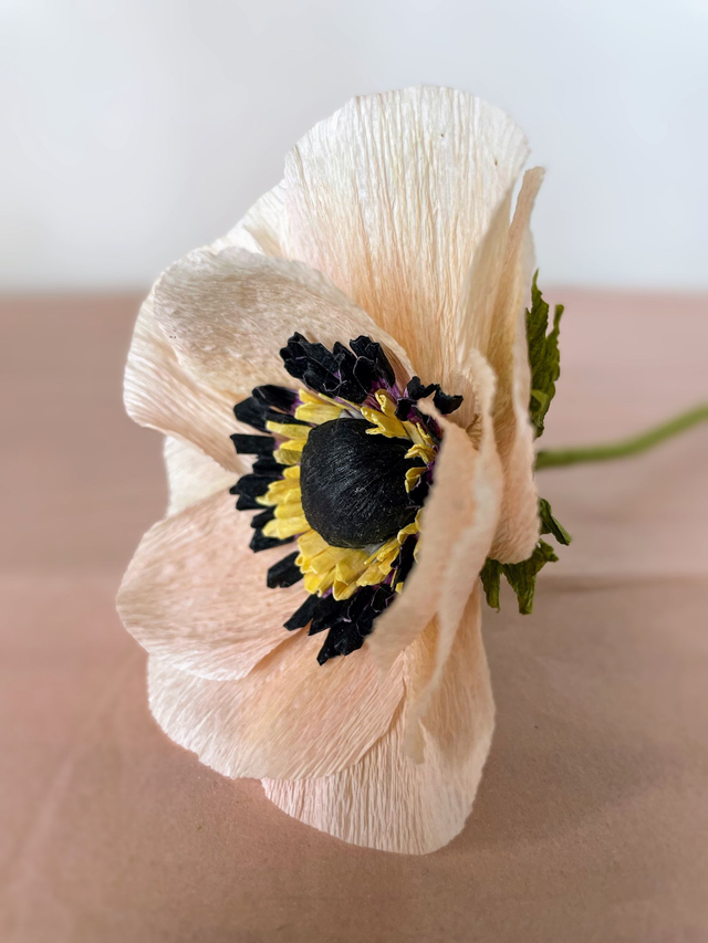 Anémone "Selma" avec son vase artisanal offert