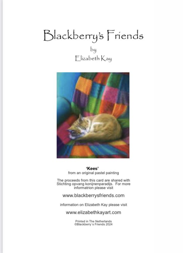 Greeting Card 'KEES' (Konijnenparadijs) (A6 size)
