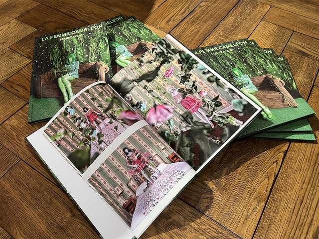 La femme caméléon 2