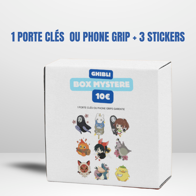 BOX MYSTERE GHIBLI 