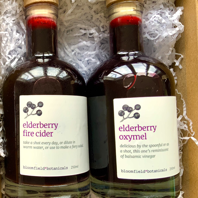 Oxymel &amp; Fire Cider 