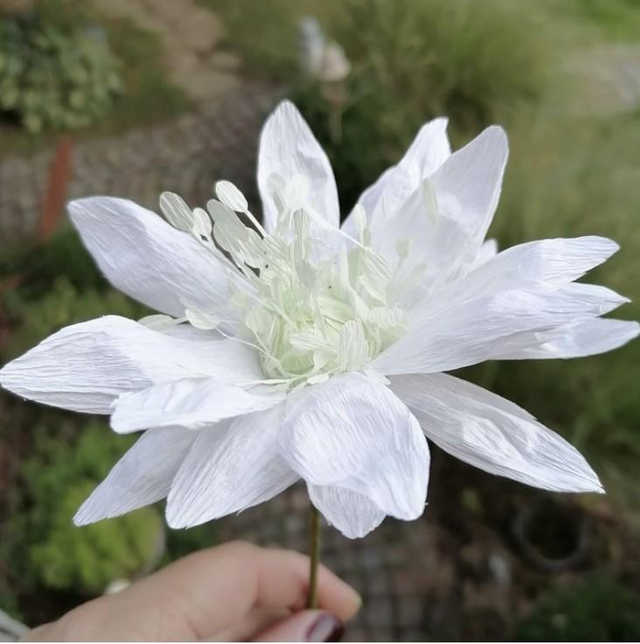 Stanze: Kreppblume / Propeller ( 463 S/M) Hersteller: Farbton-Design GmbH