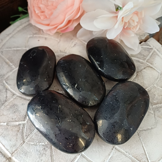 Shungite Palm Stones