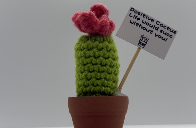 Cacti Small Desk Buddy 