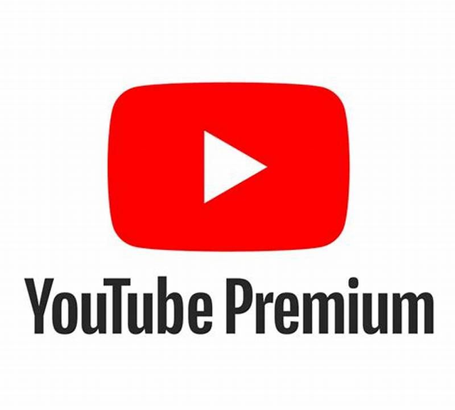YOUTUBE PREMIUM 30 DIAS