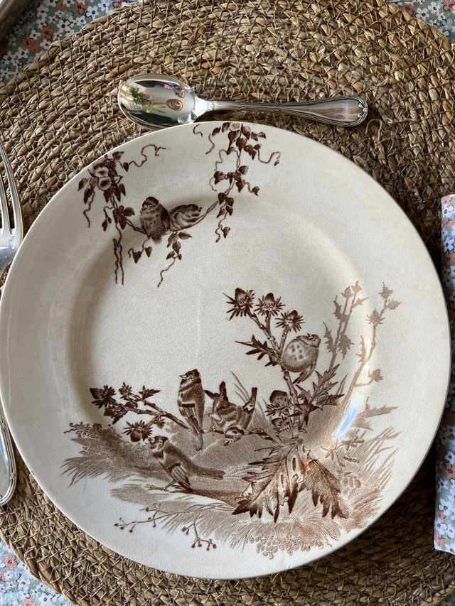 CHARDONNERET - Assiette plate de la manufacture Creil & Montereau - Terre de Fer