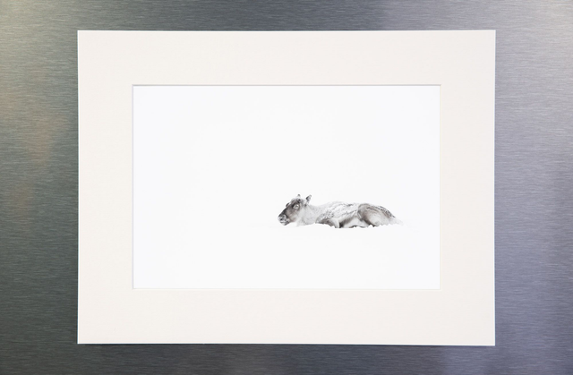 Photo &quot;Sérénité&quot; avec passe-partout