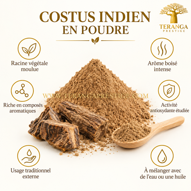 Costus Indien en Poudre