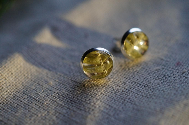 Clous d'oreilles - Fougère