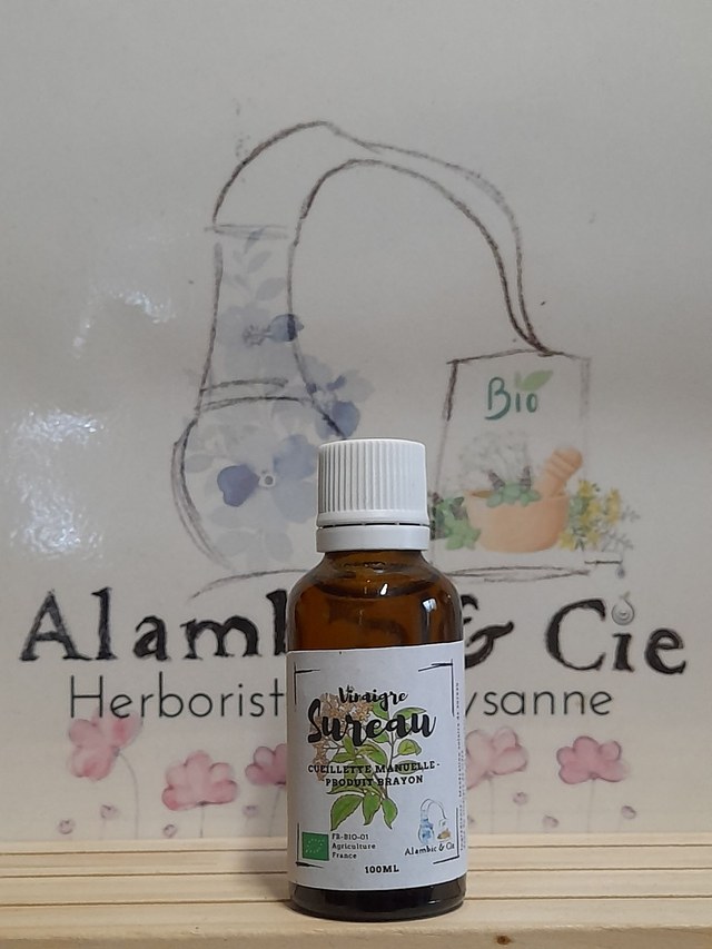 Macérât vinaigré de sureau