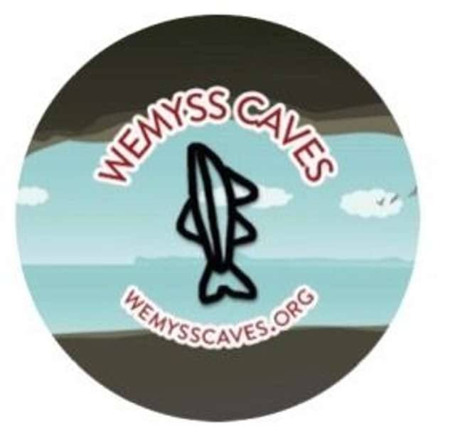 Fridge Magnet - Fish