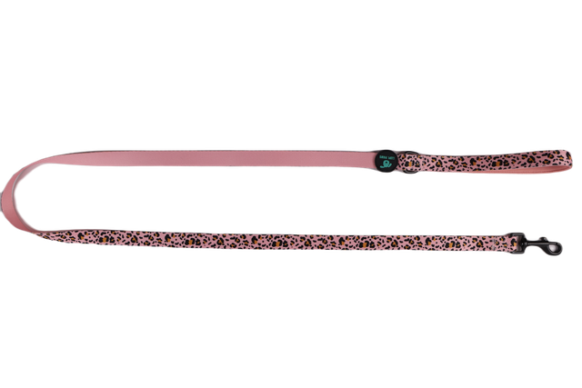 Leopawrd Leash