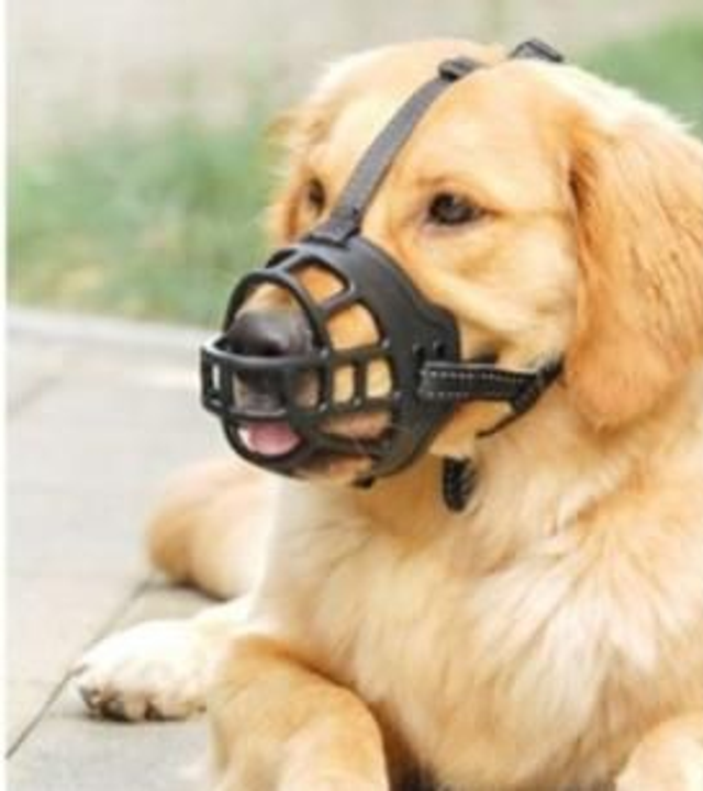 Bozal de Perro Reforzado N 4