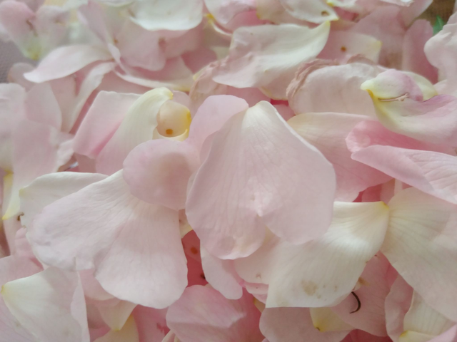 Huile Beauté Eternelle