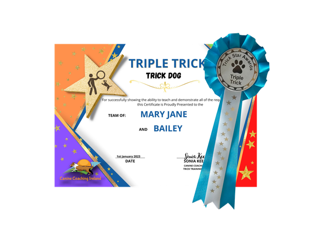 Bonus Triple Trick - Cert &amp; Rosette