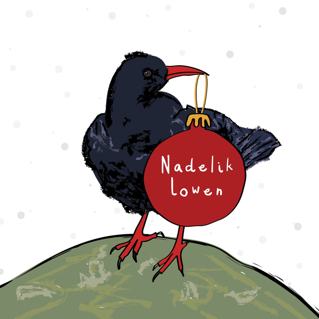 Greeting card - Christmas Chough