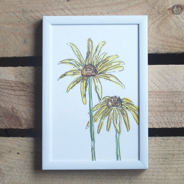 Evi Dowling Watercolours