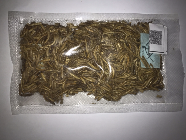 Camole della farina essiccate