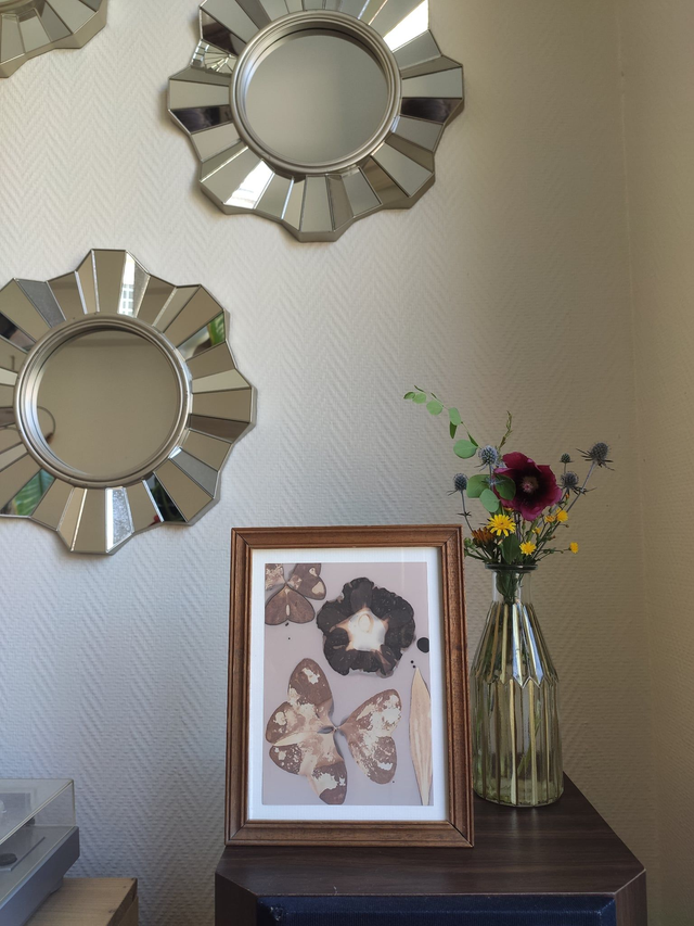 Bouquet d'été – Oxalis et rose trémière