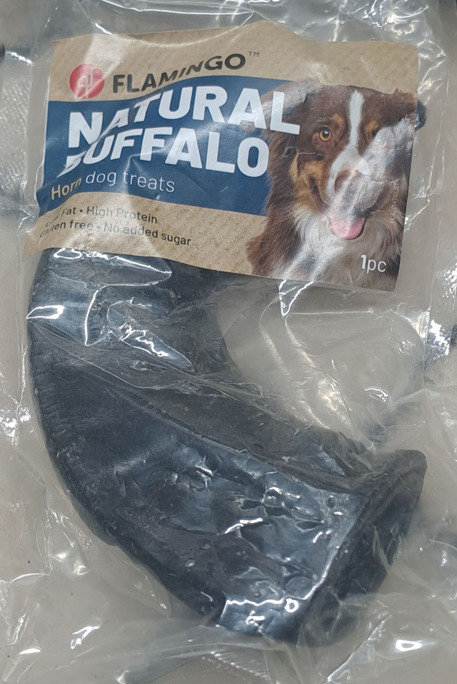 23 - Corne de Buffle Taille L