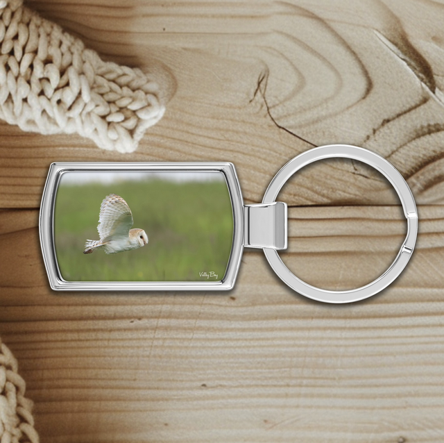"Barn Owl" Keyring  