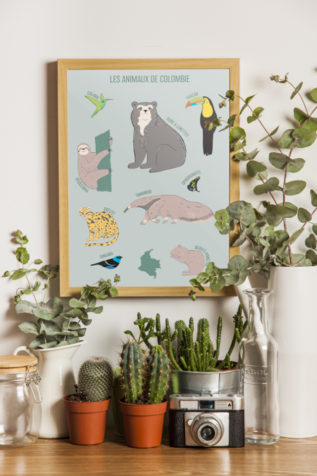 Affiche les animaux de Colombie