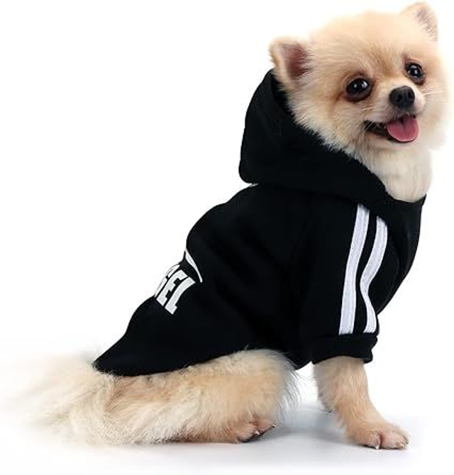 QiCheng &amp; LYS pull "sweet" chien noir TL