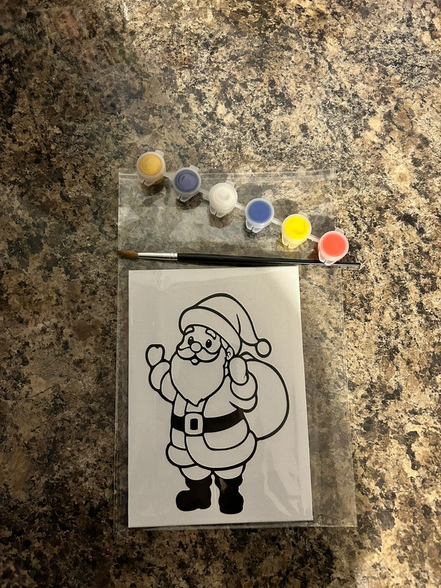 Paint & Play Canvas Set