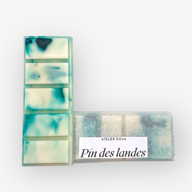 Snapbar pin des landes 