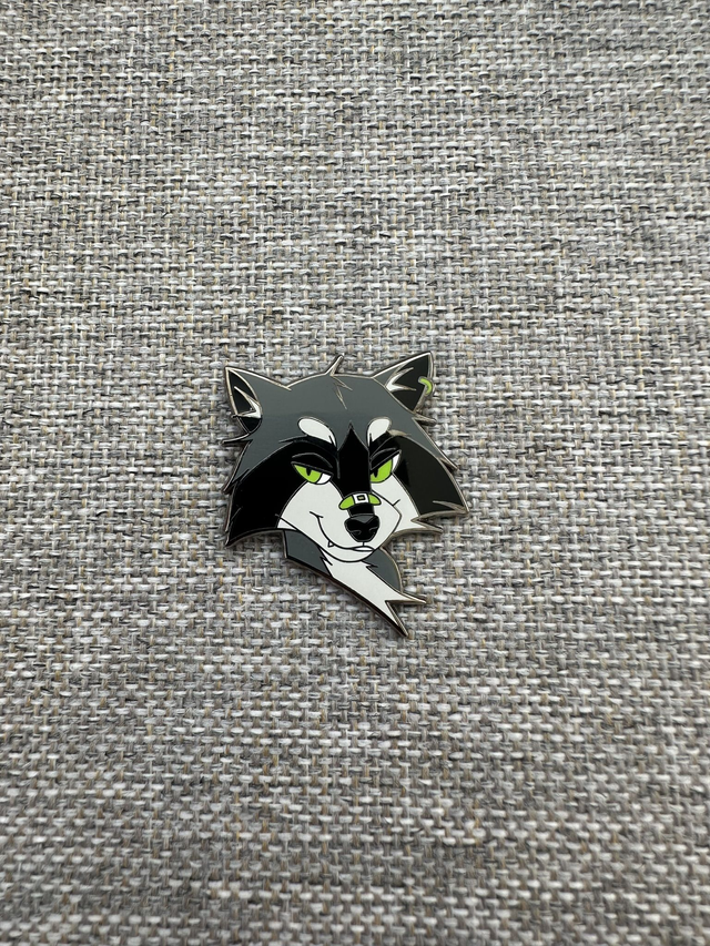 Raccoon Pin